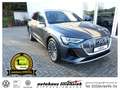 Audi e-tron 55 quattro 300KW S line *AHK*LED*PDC* Grau - thumbnail 1