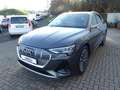 Audi e-tron 55 quattro 300KW S line *AHK*LED*PDC* Grau - thumbnail 4