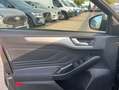 Ford Focus 1.0 EcoBoost Start-Stopp-System COOL&CONNECT Gris - thumbnail 12