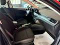 Ford Focus 1.5 EcoBlue 120 CV automatico SW Business Grigio - thumbnail 9