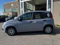 Fiat Panda 1.0 firefly hybrid - ADATTA NEOPATENTATI Km 24.600 Grigio - thumbnail 3