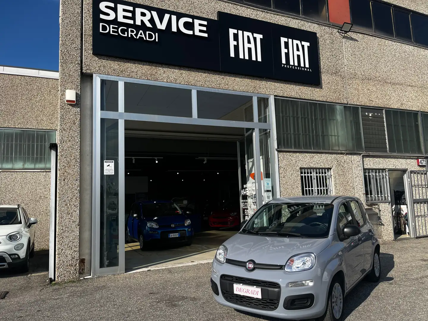 Fiat Panda 1.0 firefly hybrid - ADATTA NEOPATENTATI Km 24.600 Grigio - 1