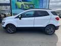 Ford EcoSport . Wit - thumbnail 9
