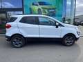 Ford EcoSport . Wit - thumbnail 6