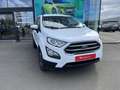 Ford EcoSport . Wit - thumbnail 3