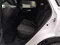 Renault Austral Techno Full Hybrid E-Tech 200 (MY26) Weiß - thumbnail 16