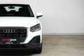 Audi Q2 30 TFSI | TRAUM-SUV | LED | Assistenz | Kamera | 2 Weiß - thumbnail 10