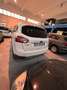 Ford Kuga 2.0 tdci + 4wd 163cv - thumbnail 1