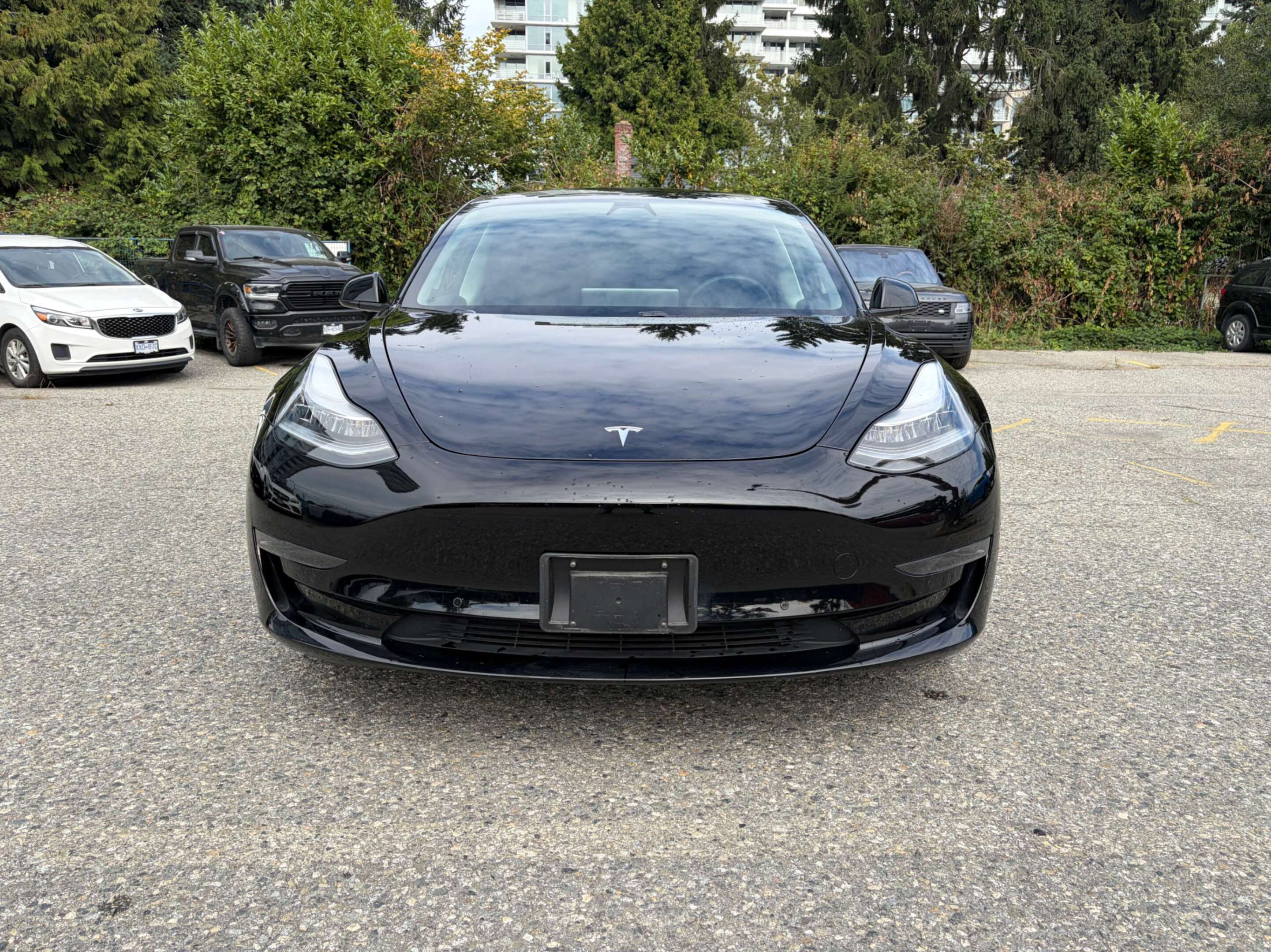 2020 Tesla Model 3 Standard Range Plus — снимка 1