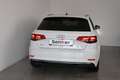 Audi A3 Audi A3 SB 2.0 TDI Design Weiß - thumbnail 4