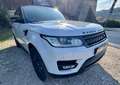 Land Rover Range Rover Sport 3.0 tdV6 HSE auto Fehér - thumbnail 1