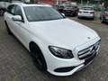 Mercedes-Benz E 220 d T AVANTGARDE 9G LED Kamera Schiebedach Blanc - thumbnail 2