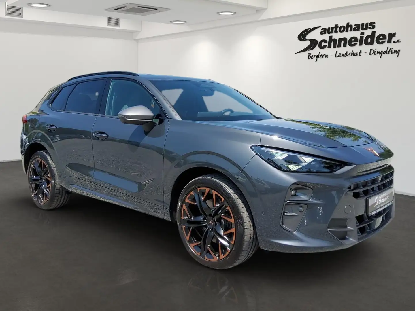 CUPRA Terramar VZ 2.0 TSI DSG 4WD AHK/HuD/MATRIX/PANORAMA/SENNHEI Gris - 2