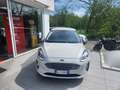Ford Fiesta 5p 1.0 ecoboost Titanium s Beżowy - thumbnail 1