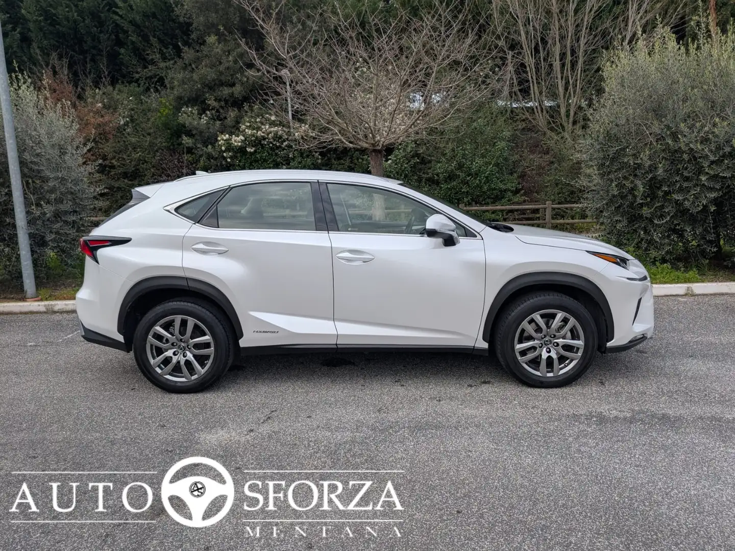 Lexus NX 300h 2.5 Hybrid Premium 4WD Tagliandata Nazionale E6d Bianco - 2