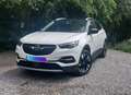 Opel Grandland X 1.2 Turbo ECOTEC Innovation - thumbnail 1