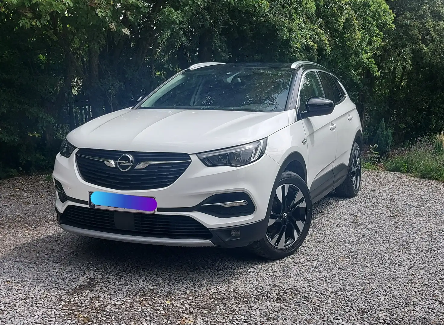 Opel Grandland X 1.2 Turbo ECOTEC Innovation - 1