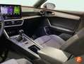SEAT Leon 1.0 TSI S&S FR 25º Aniversario 110 Blanco - thumbnail 41