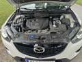 Mazda CX-5 CX-5 CD175 AWD Revolution Revolution Weiß - thumbnail 16