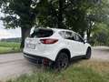 Mazda CX-5 CX-5 CD175 AWD Revolution Revolution Weiß - thumbnail 4