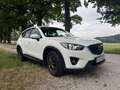 Mazda CX-5 CX-5 CD175 AWD Revolution Revolution Weiß - thumbnail 2
