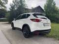 Mazda CX-5 CX-5 CD175 AWD Revolution Revolution Weiß - thumbnail 3