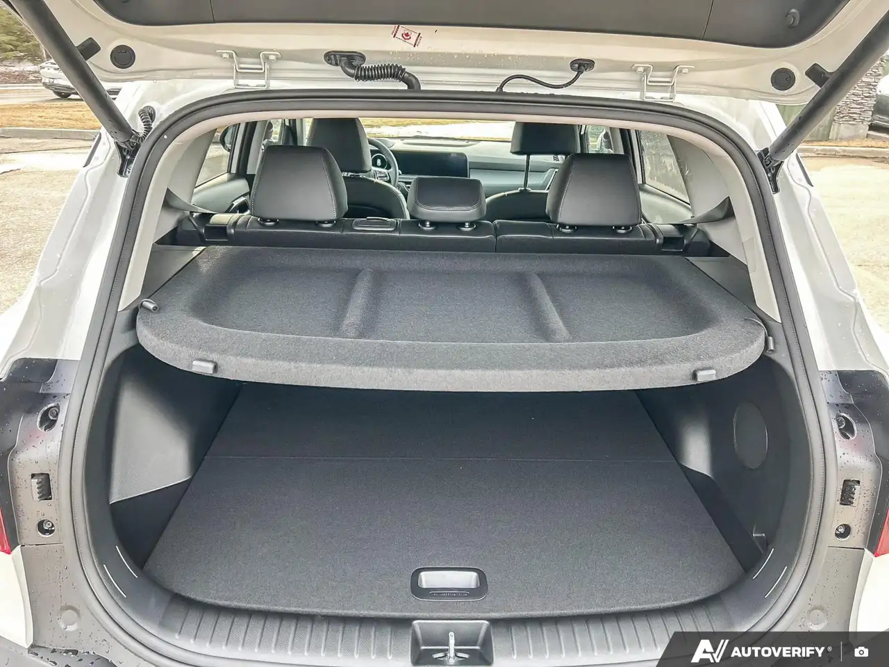 Kia Seltos снимка Kia Seltos