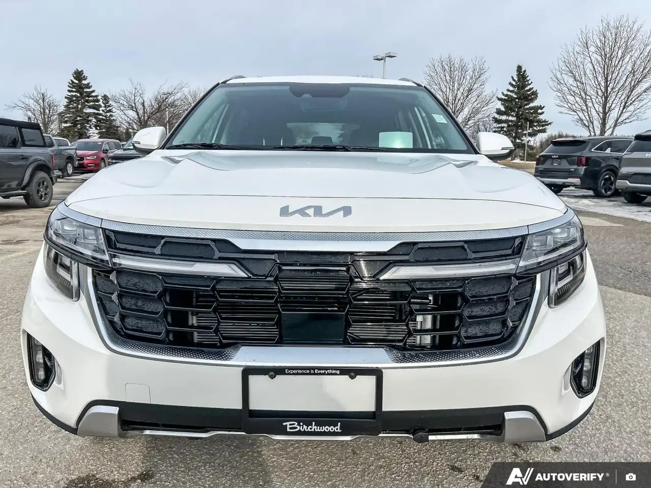 Kia Seltos снимка Kia Seltos