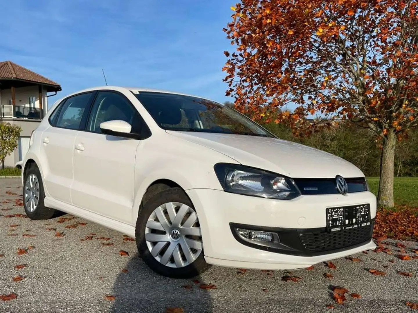 Volkswagen Polo Polo Comfortline 1,2 TDI DPF Comfortline Weiß - 2