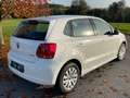 Volkswagen Polo Polo Comfortline 1,2 TDI DPF Comfortline Weiß - thumbnail 4