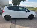 Opel Meriva Meriva 1,4 ecoFlex Turbo Edition 30 Start&Stop Weiß - thumbnail 7