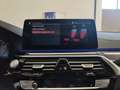 BMW 530 d 48V 249 CV Touring Luxury auto Tetto Pelle 19" Grigio - thumbnail 34