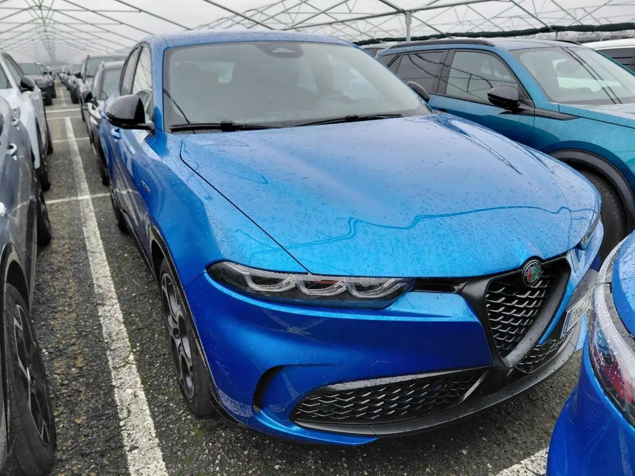 Alfa Romeo Tonale