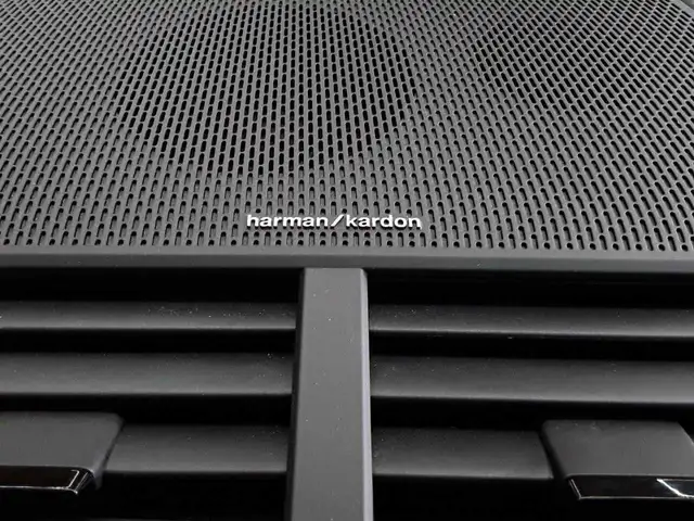 Polestar 2 view 17