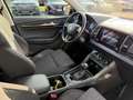 Skoda Karoq Style 4x4+AHK+StHz+App+Navi++ Grün - thumbnail 7