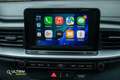 Kia Ceed SW / cee'd SW Sportswagon 1.0 T-GDi Comfortline | CARPLAY*CRUISE Grau - thumbnail 11