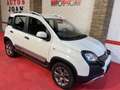 Fiat Panda 1.3 Cross 70kW 4x4 Blanco - thumbnail 13