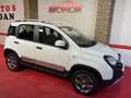 Fiat Panda 1.3 Cross 70kW 4x4 Blanco - thumbnail 12