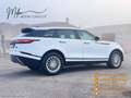 Land Rover Range Rover Velar RR Velar 2.0D 240 I4 R-Dynamic HSE Blanc - thumbnail 6