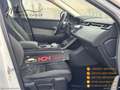 Land Rover Range Rover Velar RR Velar 2.0D 240 I4 R-Dynamic HSE Blanc - thumbnail 10