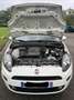 Fiat Punto 1.2 8V 69 Italia - thumbnail 11