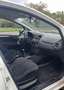 Fiat Punto 1.2 8V 69 Italia - thumbnail 4