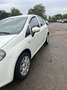 Fiat Punto 1.2 8V 69 Italia - thumbnail 14