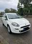 Fiat Punto 1.2 8V 69 Italia - thumbnail 7
