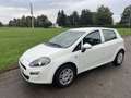 Fiat Punto 1.2 8V 69 Italia - thumbnail 3