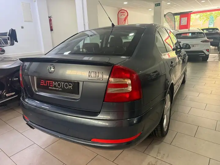 Škoda Octavia 2.0 TDI Elegance (2004) 2006, foto 11