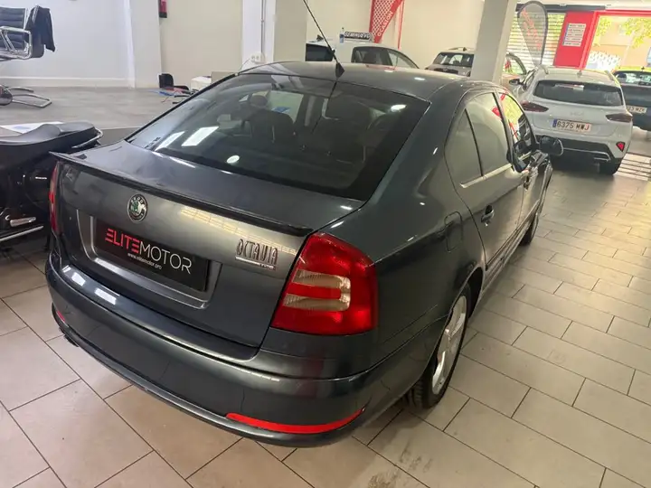 Škoda Octavia 2.0 TDI Elegance (2004) 2006, foto 7