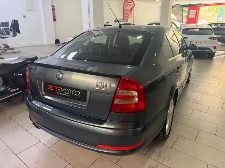 Škoda Octavia 2.0 TDI Elegance (2004) 2006, foto 14