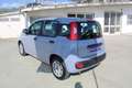 Fiat Panda 1.0 FireFly S&S Hybrid Gris - thumbnail 7