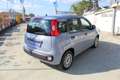 Fiat Panda 1.0 FireFly S&S Hybrid Gris - thumbnail 5